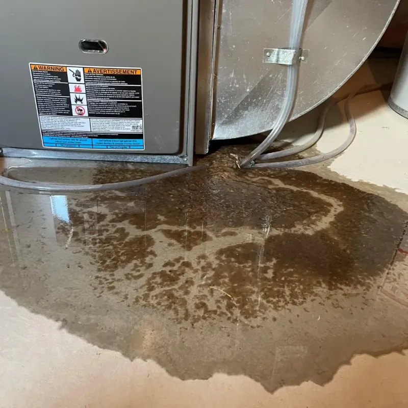 Appliance Leak Cleanup in Inman, SC